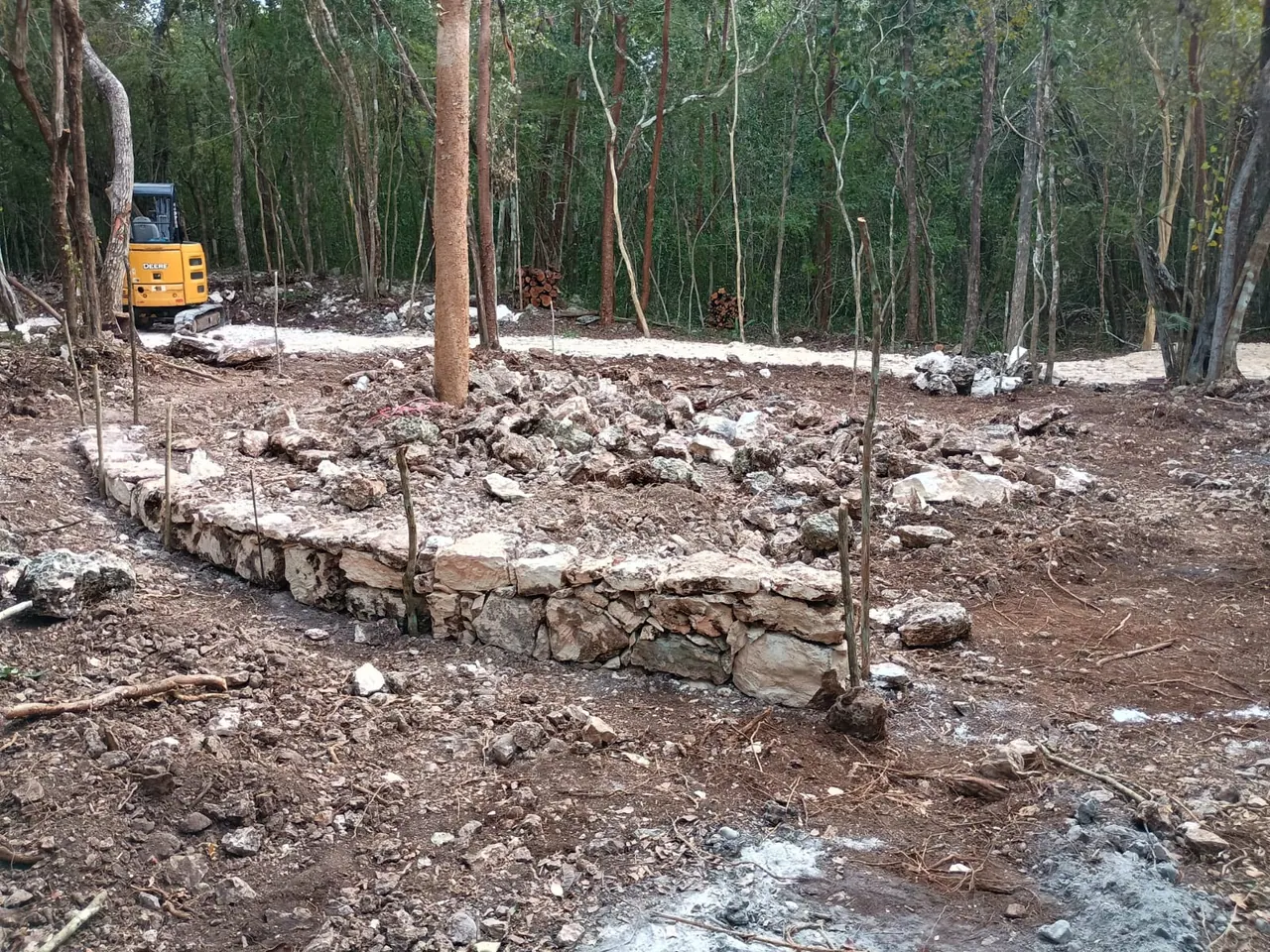 Huerto 1