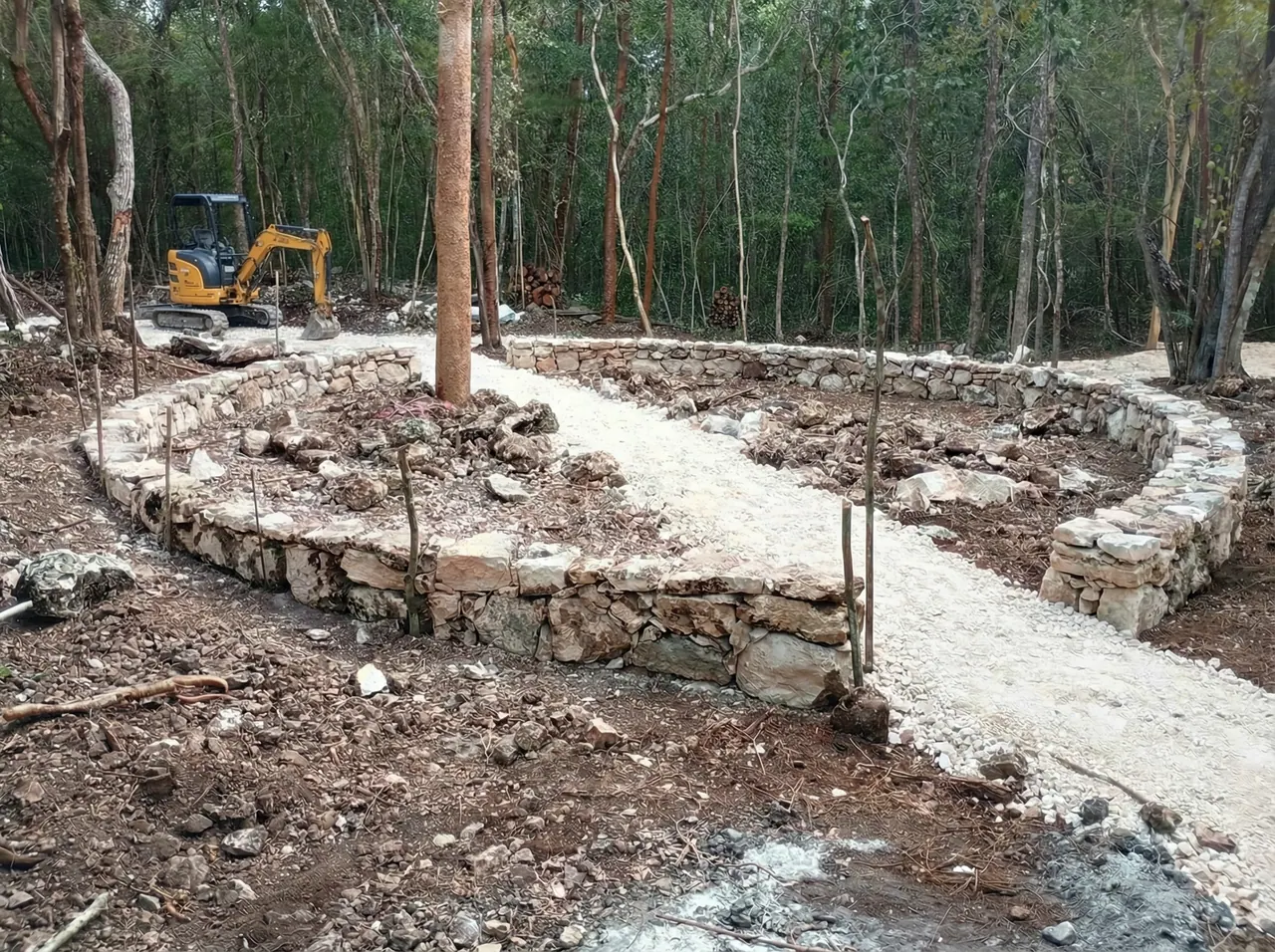 Huerto 2
