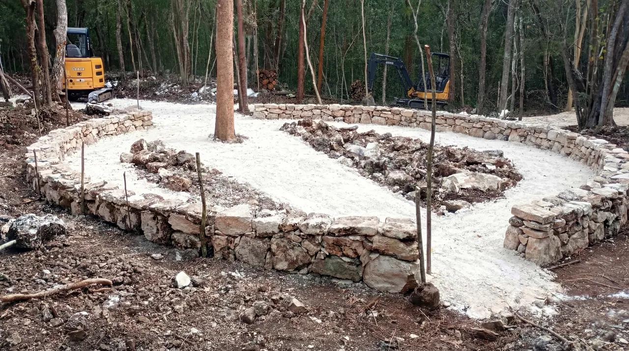 Huerto 3